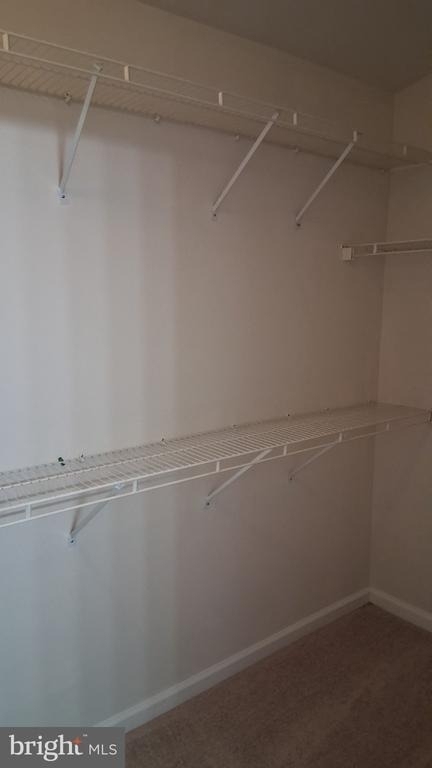 12456 Hadrians Court - Photo 9