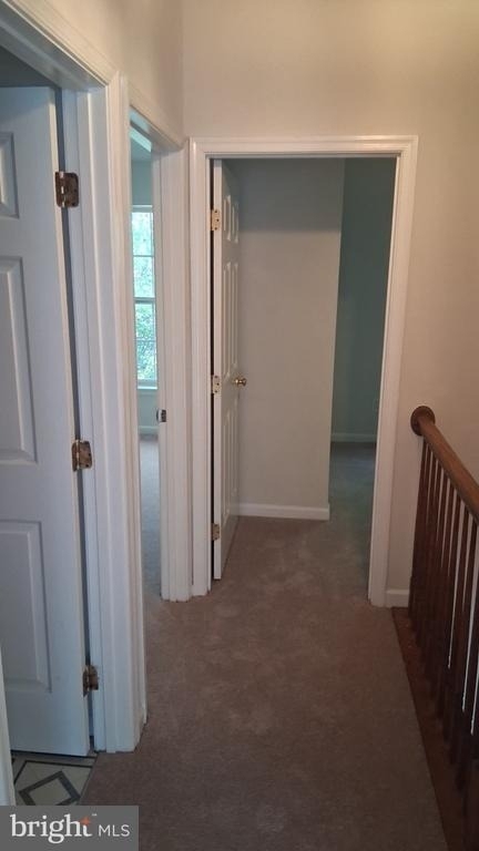 12456 Hadrians Court - Photo 5