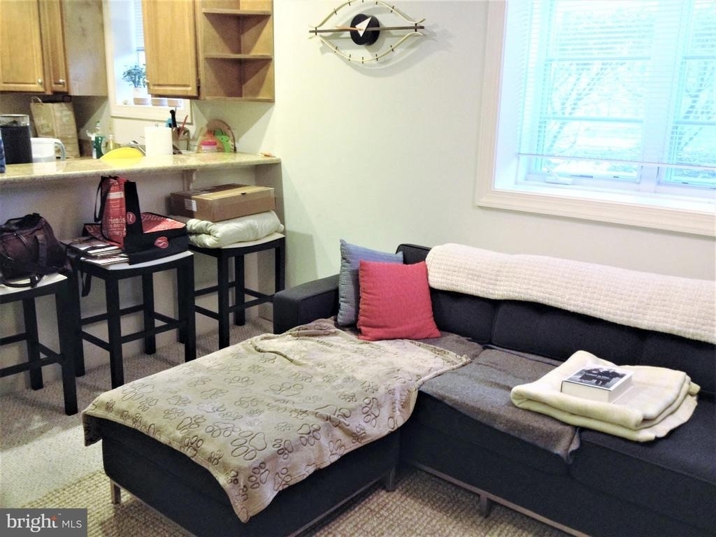 1219 Oronoco Street - Photo 4
