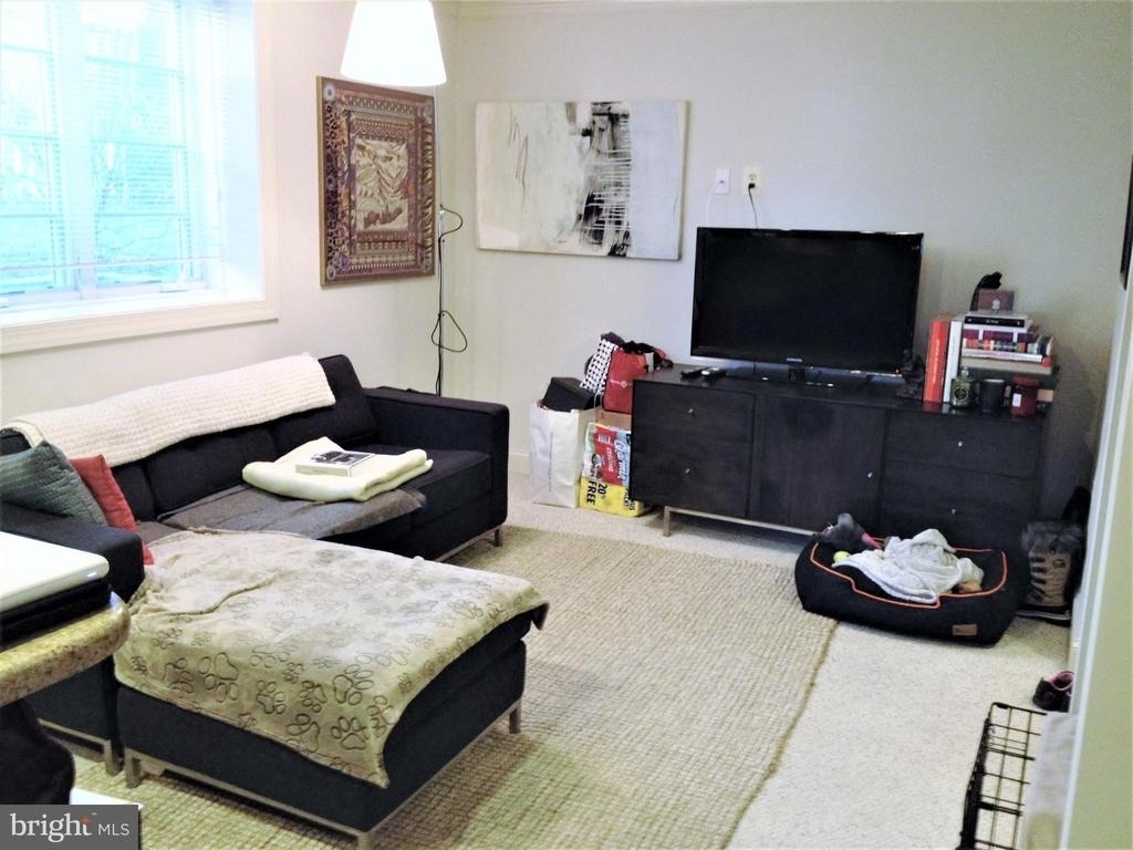 1219 Oronoco Street - Photo 1