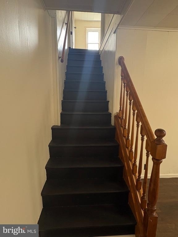 407 Hudson Street - Photo 5
