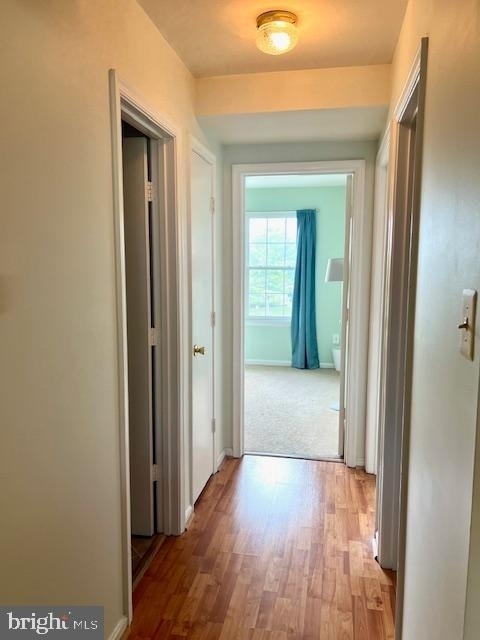 14905 Mckisson Court - Photo 13