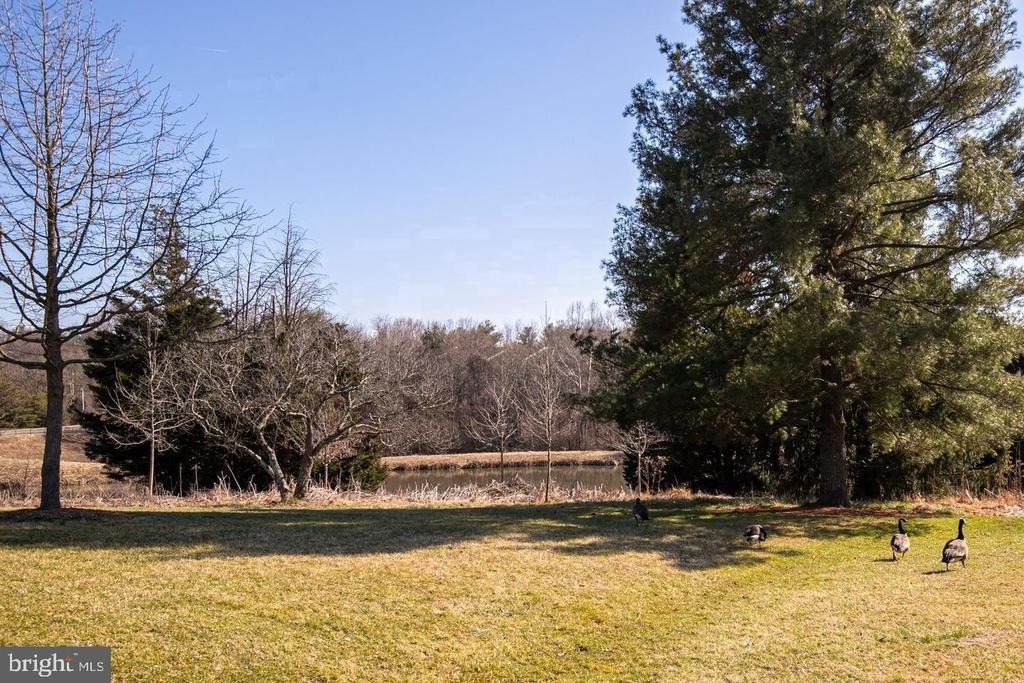 20218 Halethorpe Lane - Photo 22