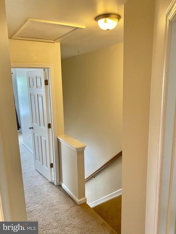 8825 Goose Landing Circle - Photo 10