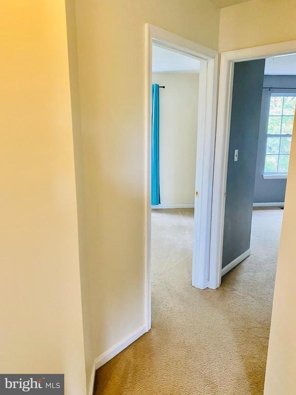 8825 Goose Landing Circle - Photo 11