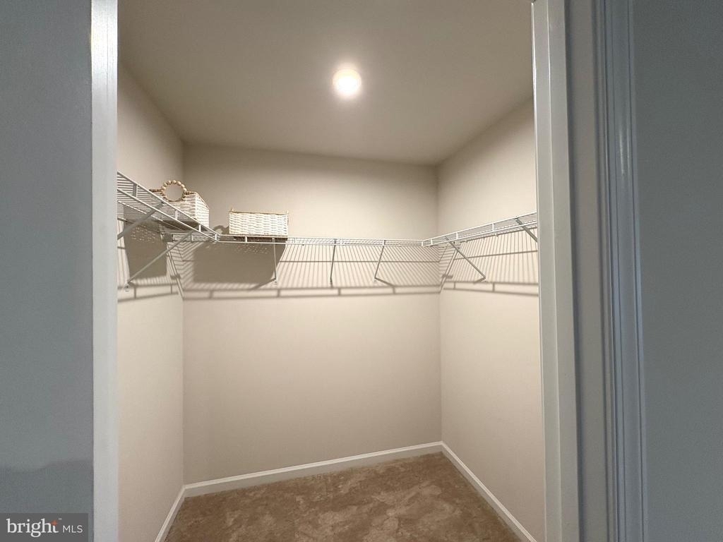 27003 Greenleaf Drive - Photo 8
