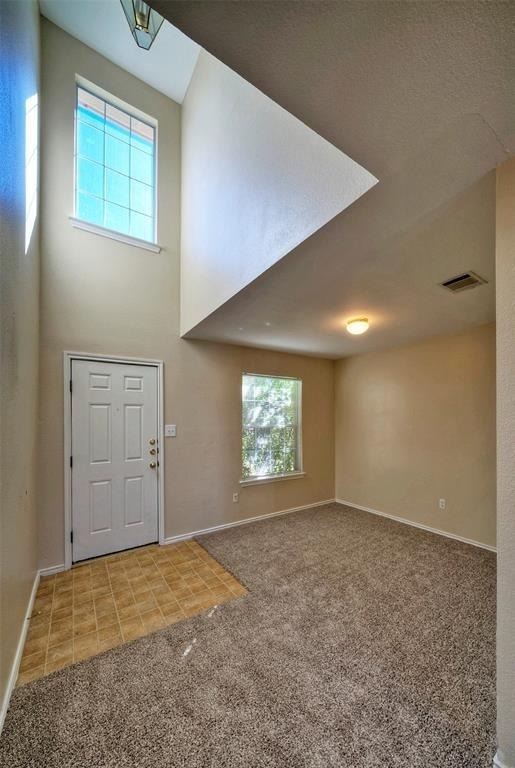 257 Prairie Verbena Dr - Photo 6