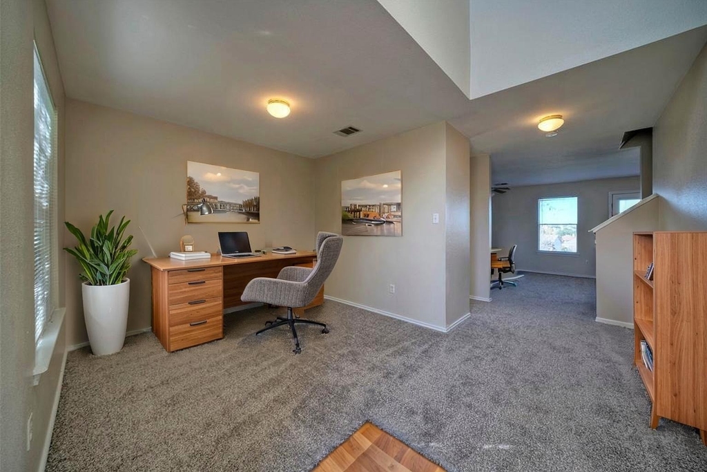 257 Prairie Verbena Dr - Photo 3