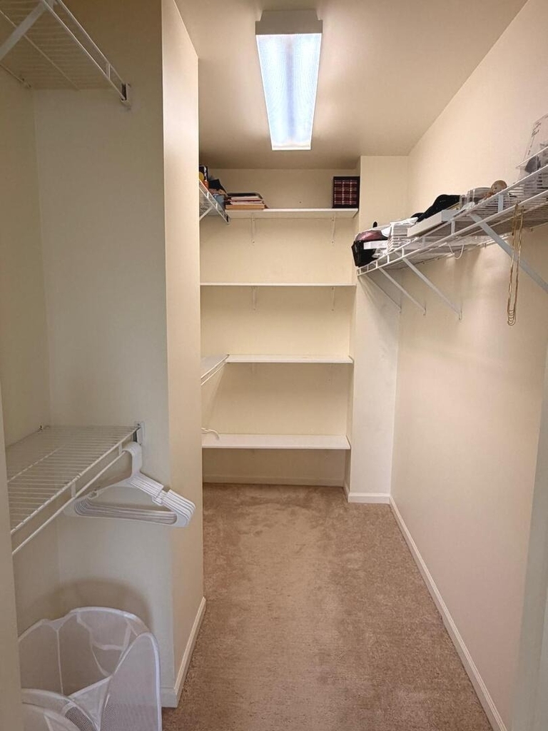484 Belvedere Lane - Photo 12
