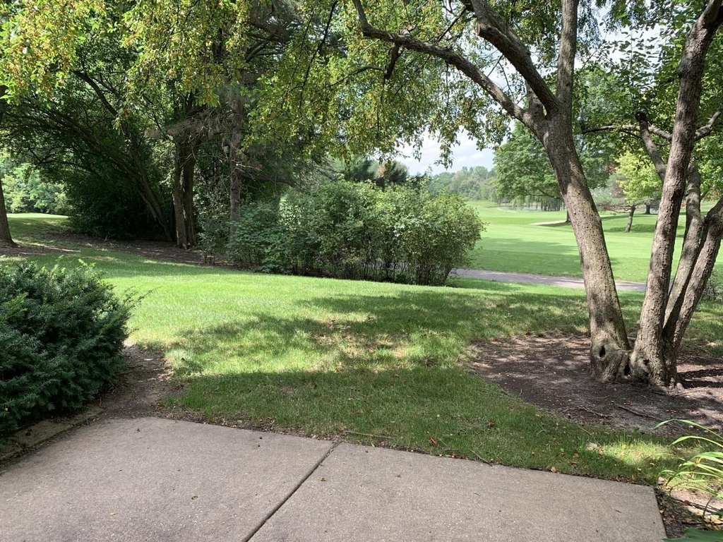 946 Shoreline Road - Photo 15