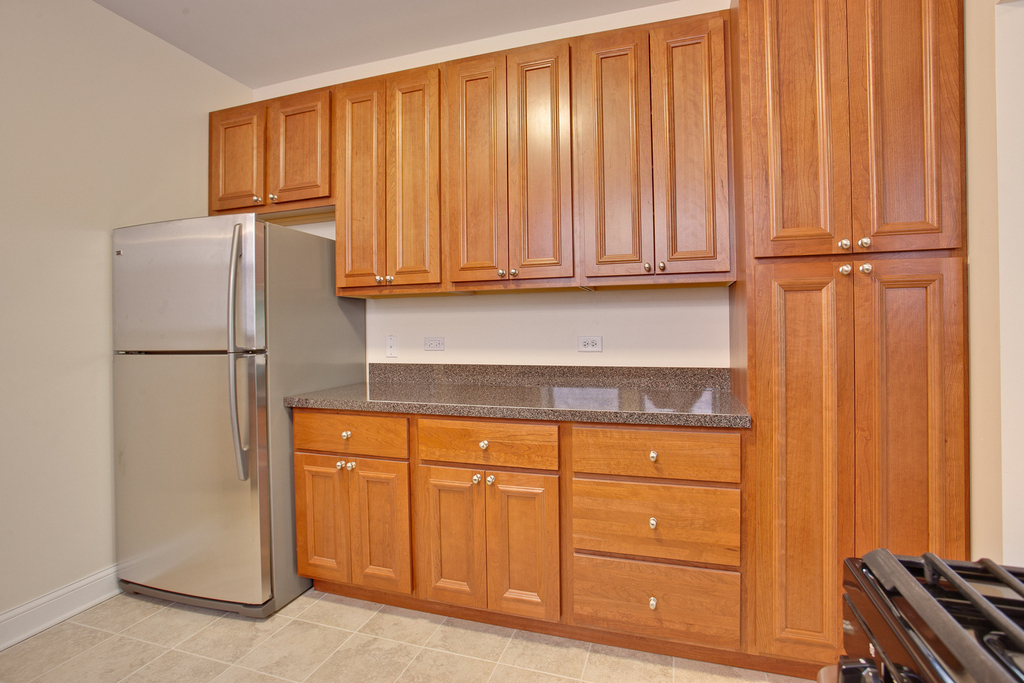 5419 S Hyde Park Boulevard - Photo 8