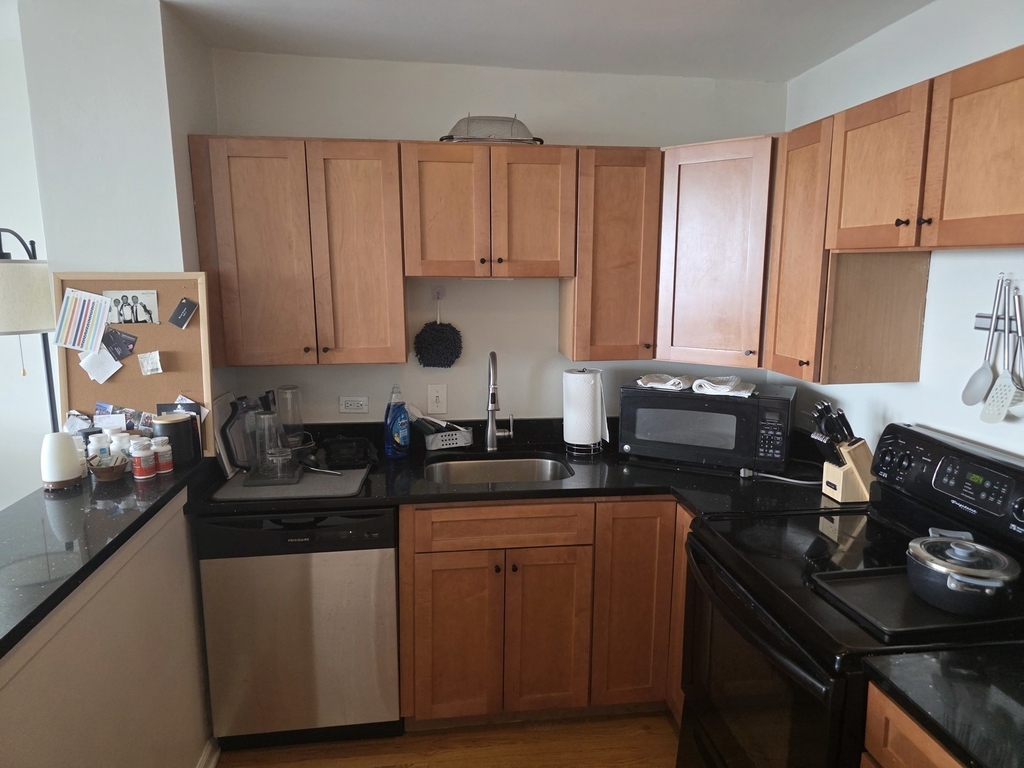 1636 N Wells Street - Photo 9