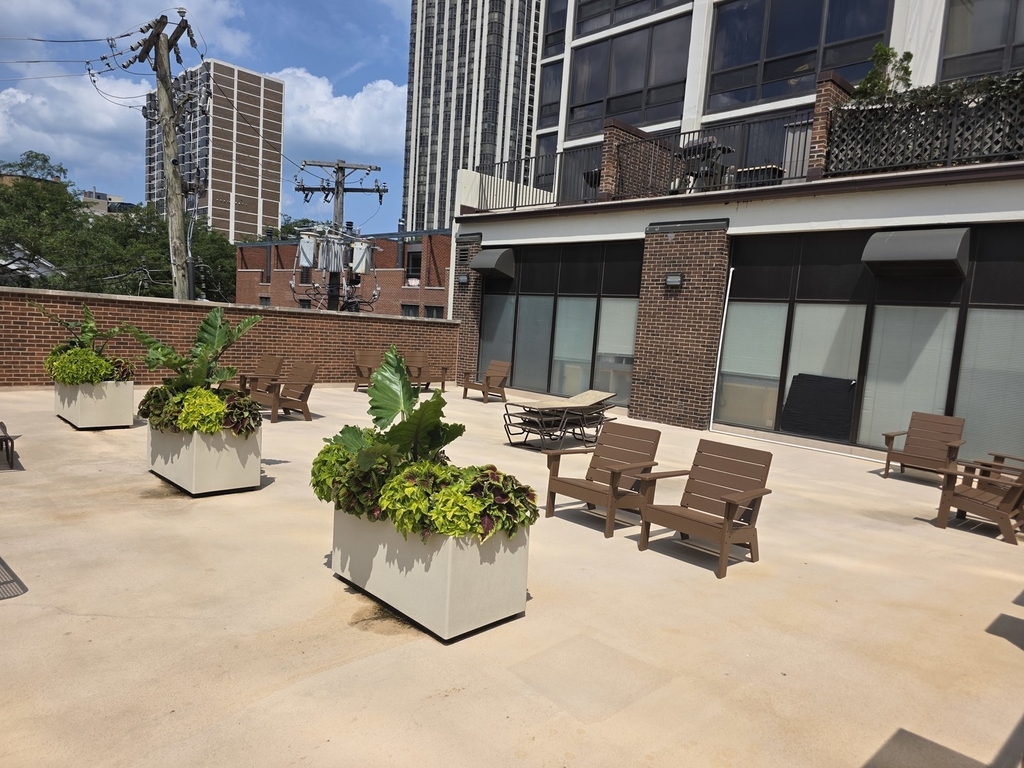 1636 N Wells Street - Photo 15