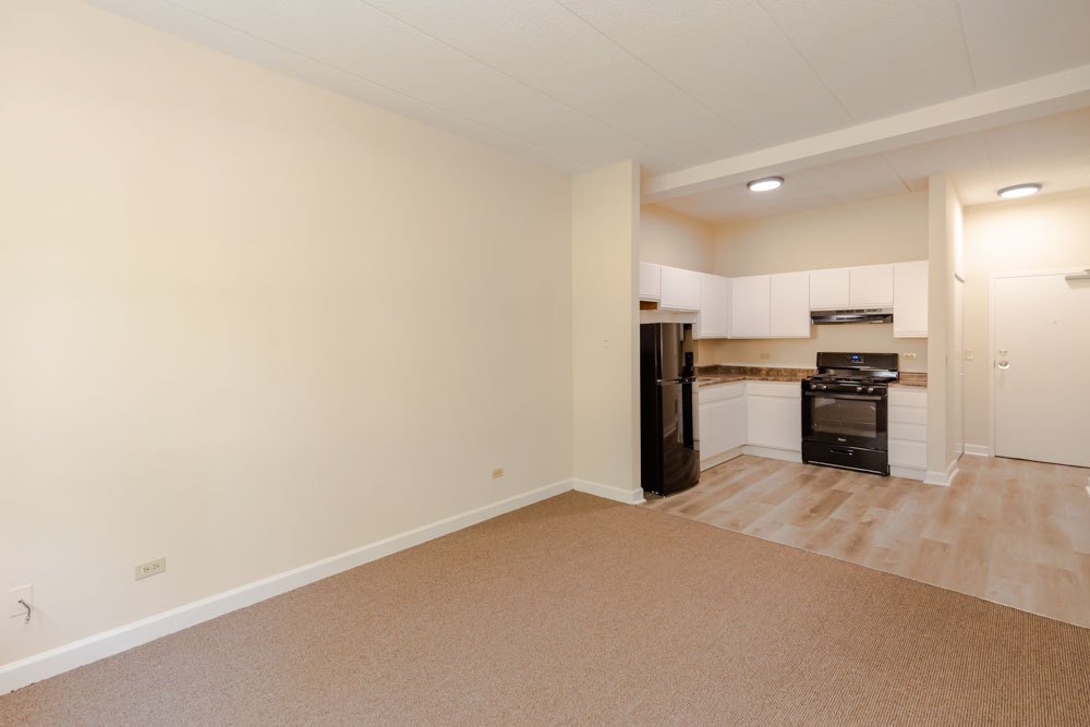 4752 S Wabash Avenue - Photo 2