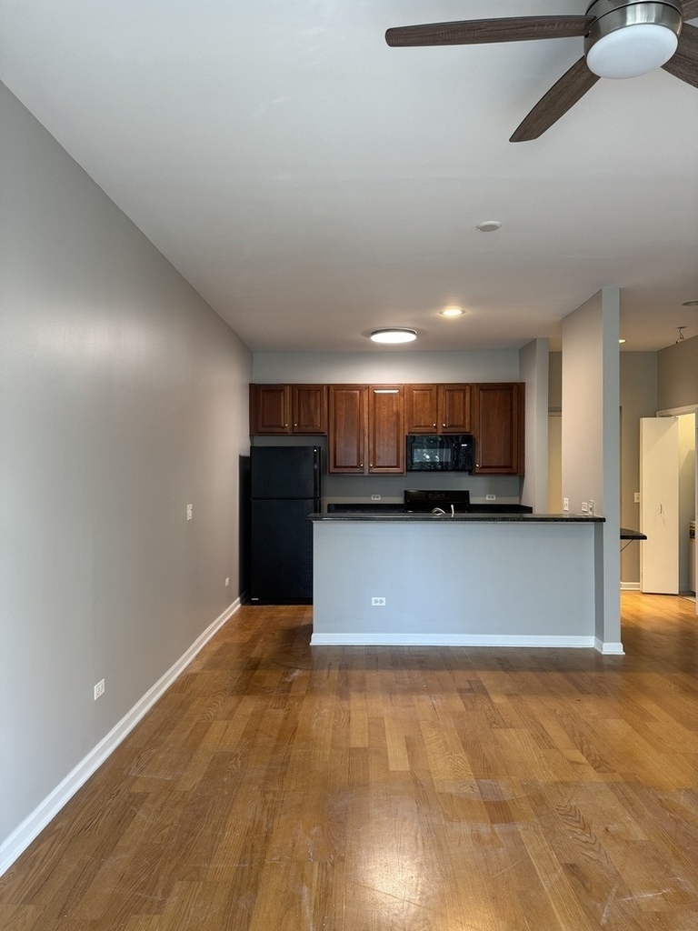 647 N Green Street - Photo 2