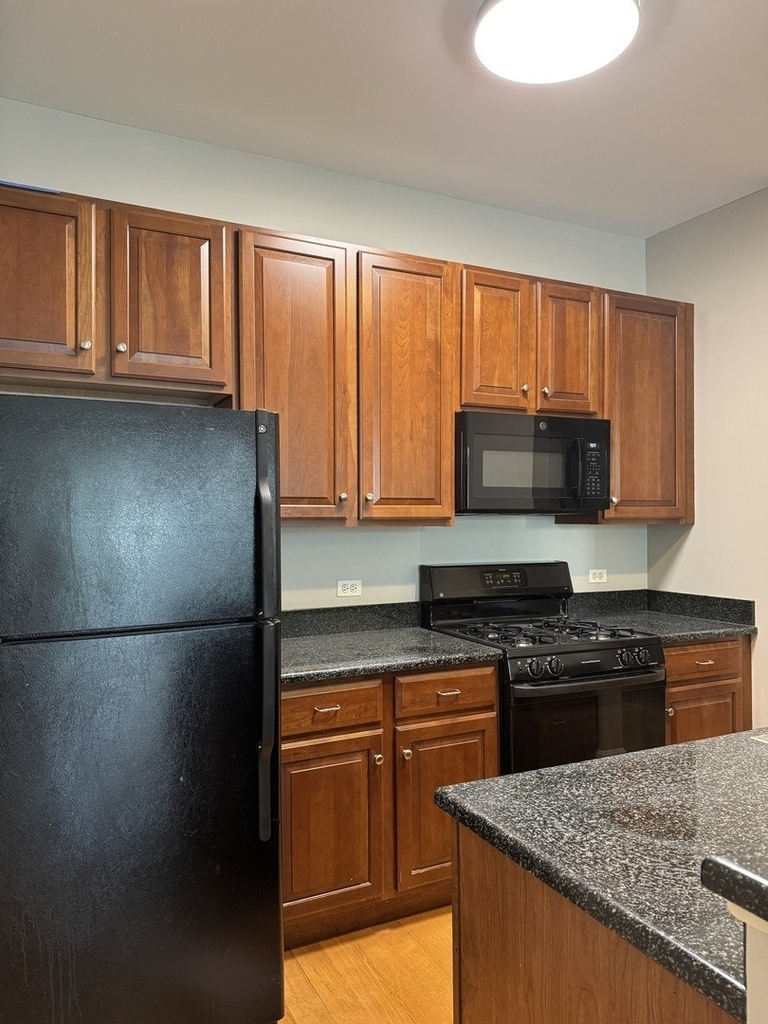 647 N Green Street - Photo 1