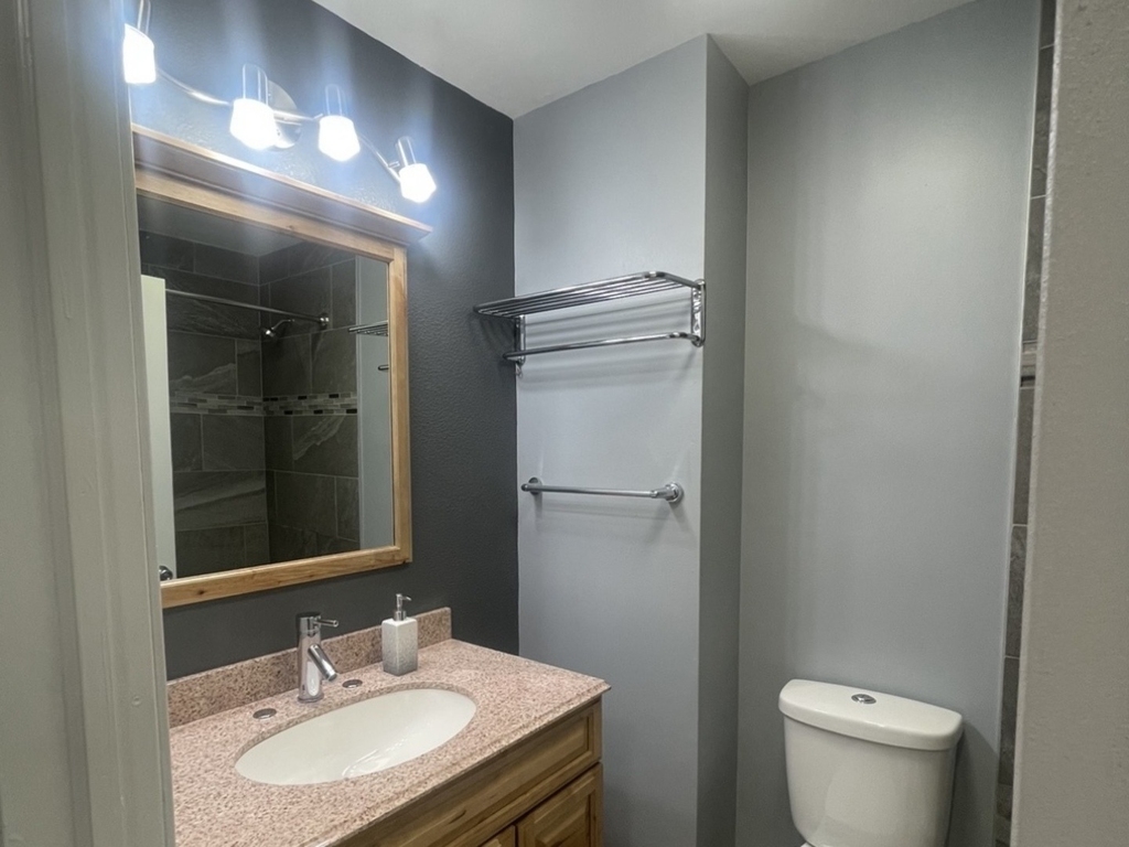 1202 Spur Court - Photo 14