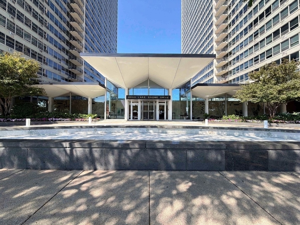 3550 N Lake Shore Drive - Photo 1