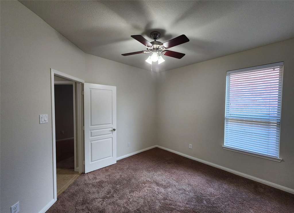 10022 Western Pine Trail - Photo 23