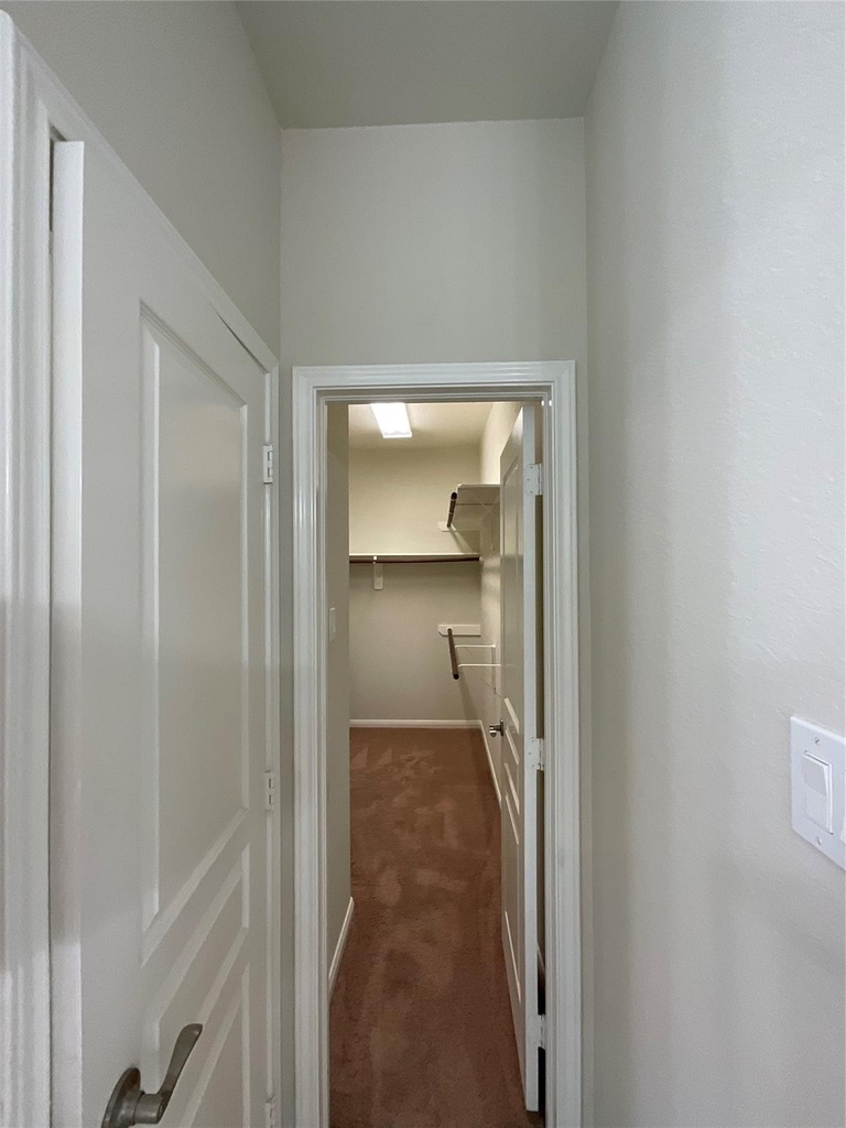 10022 Western Pine Trail - Photo 19