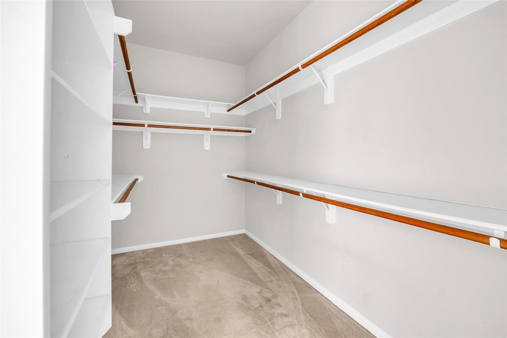 22519 Birch Ridge Meadow Drive - Photo 8