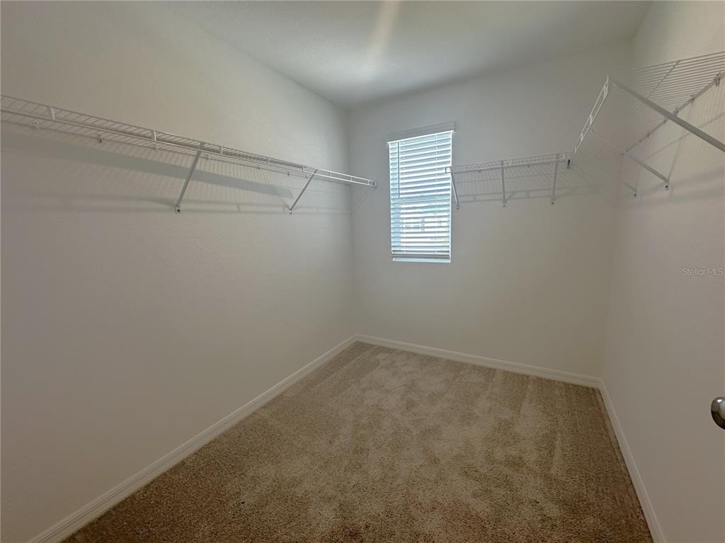 11847 Cloverly Lane - Photo 15