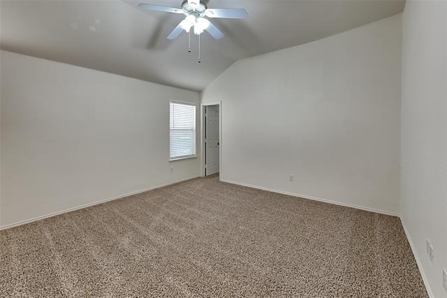 11705 Cottontail Drive - Photo 8