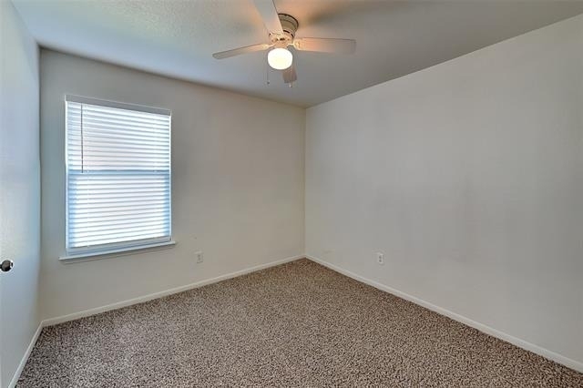 11705 Cottontail Drive - Photo 14