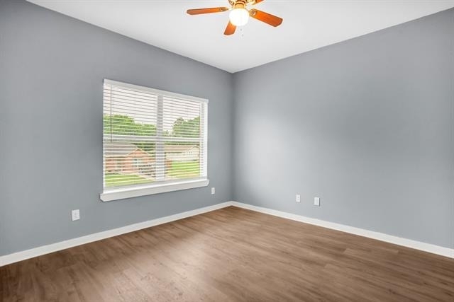 440 Pecan Hollow - Photo 12