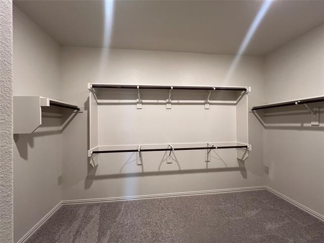 16108 Hidden Cove Drive - Photo 20