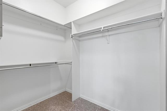 3111 Cedarplaza Lane - Photo 27