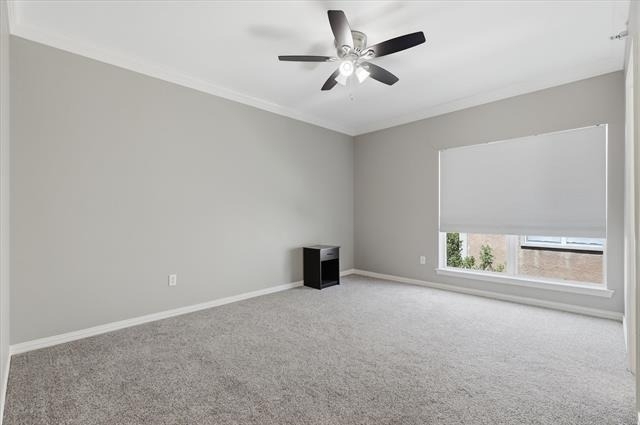 3111 Cedarplaza Lane - Photo 28