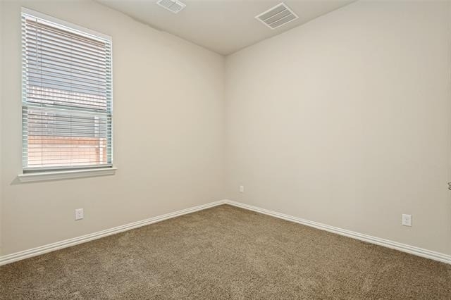 3909 Chesapeake Lane - Photo 8