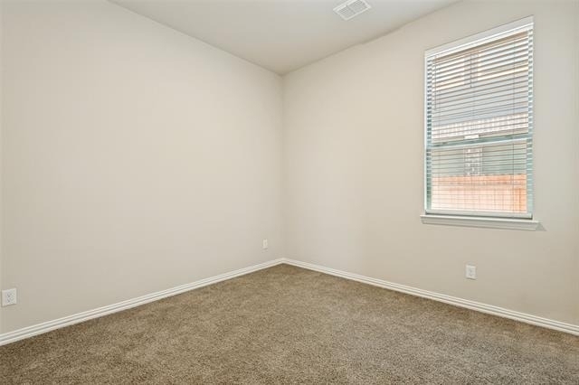 3909 Chesapeake Lane - Photo 9