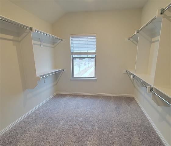 11346 Sugarlands Drive - Photo 13