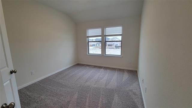 11346 Sugarlands Drive - Photo 16
