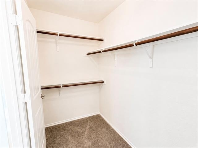 2301 Rodgers Lane - Photo 6