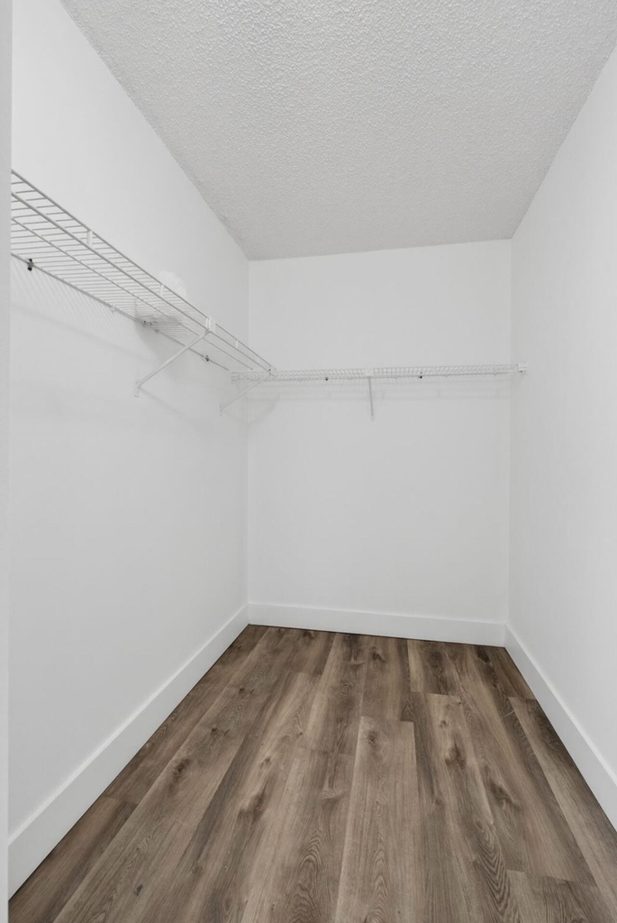 6258 Chasewood Drive - Photo 9