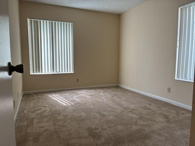 726 Sunny Pine Way - Photo 10