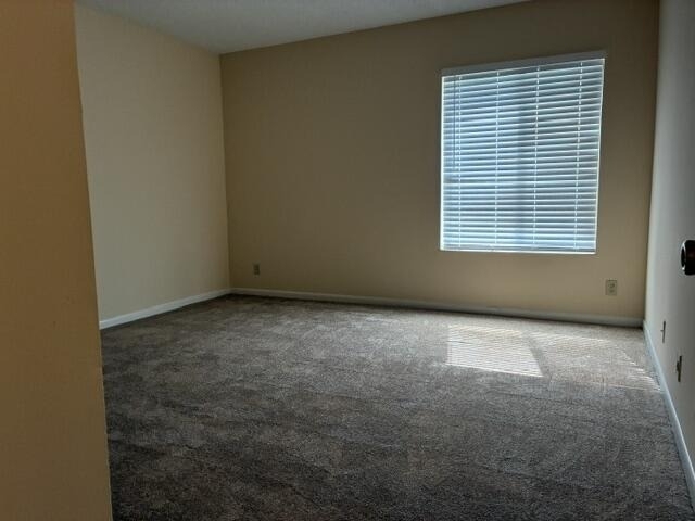 726 Sunny Pine Way - Photo 6
