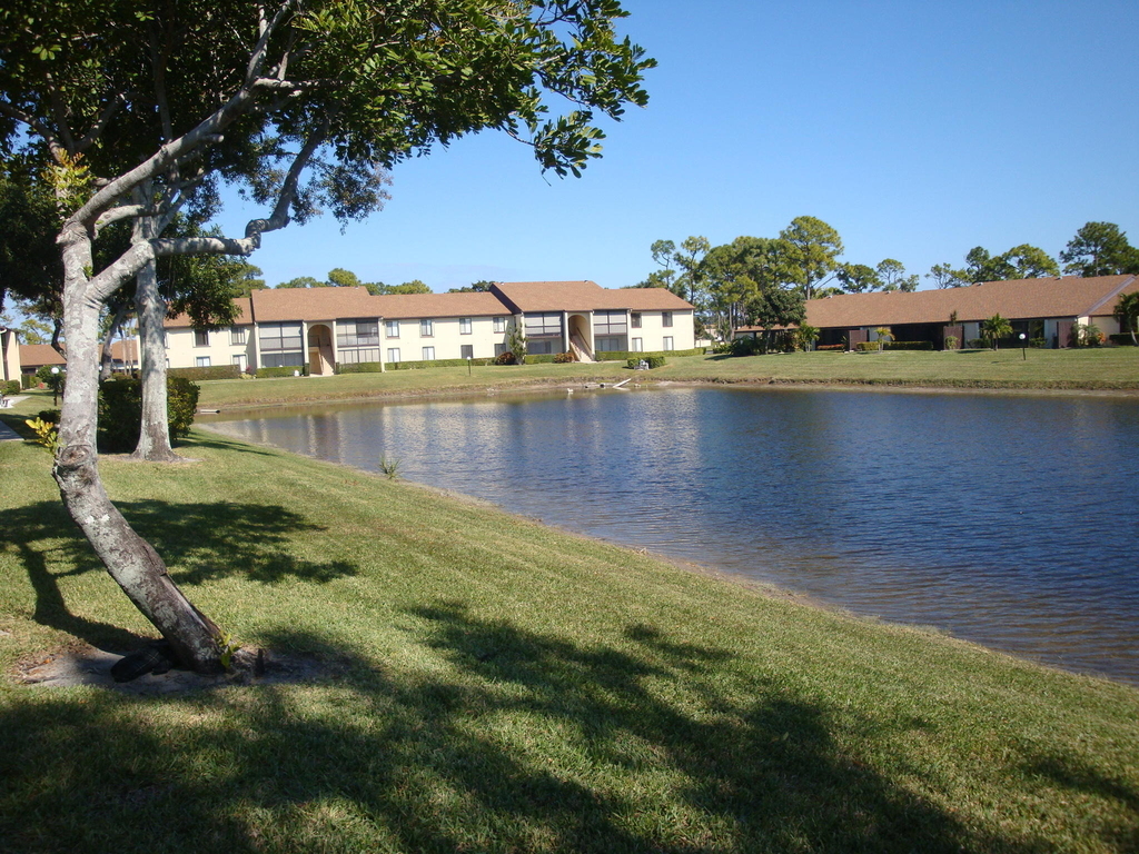726 Sunny Pine Way - Photo 0