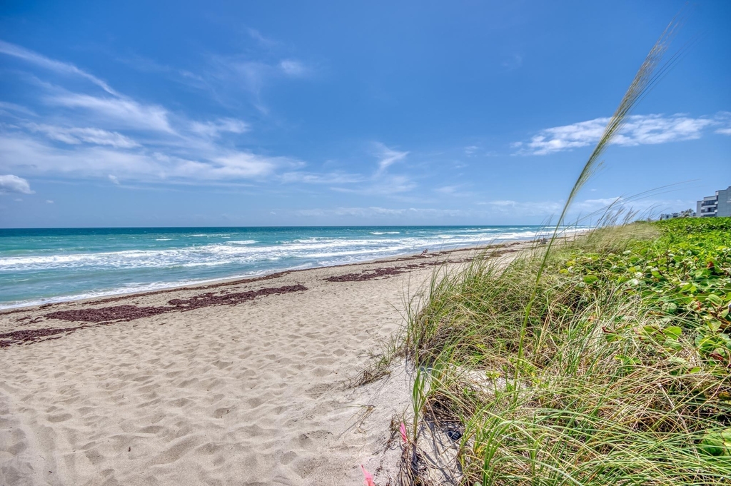 1501 Ne Ocean Boulevard - Photo 1