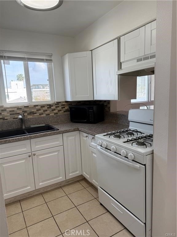 10900 Blix - Photo 2