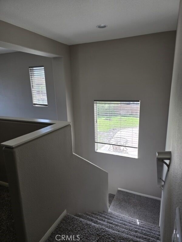23638 William Place - Photo 10