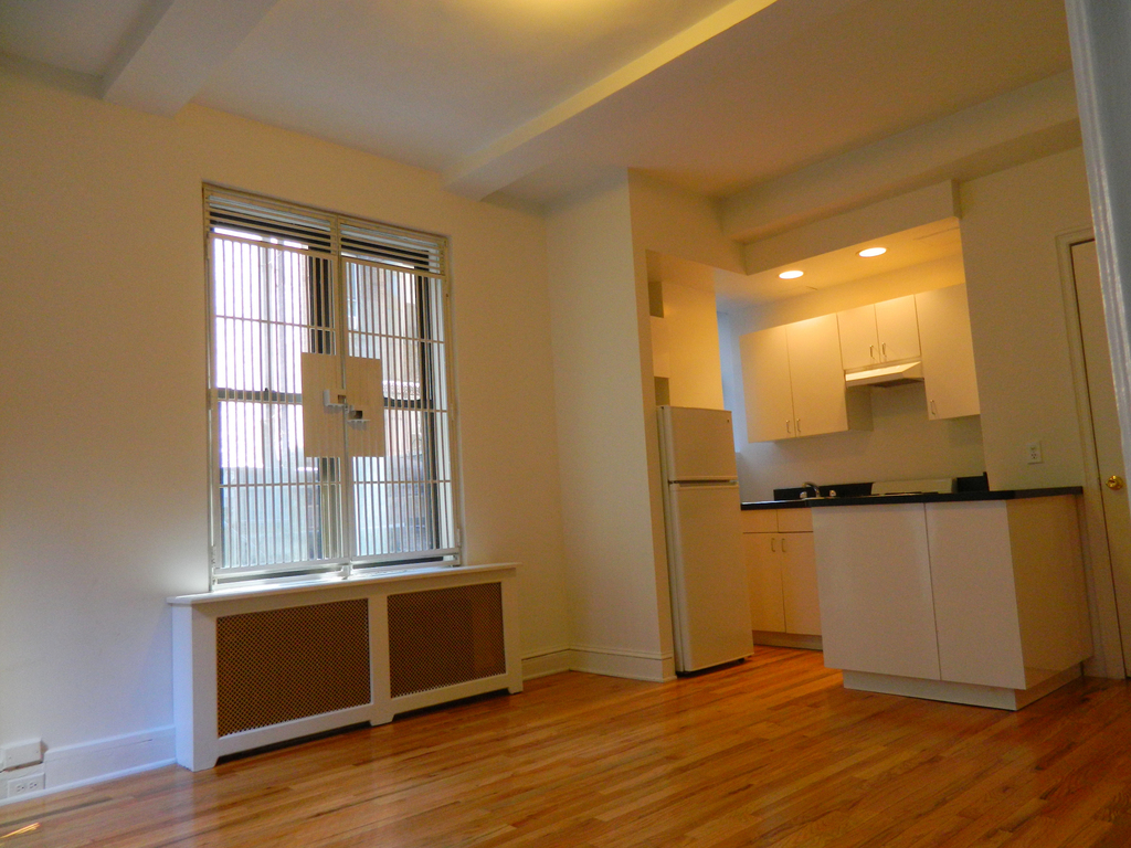 East 46th Street - Photo 3