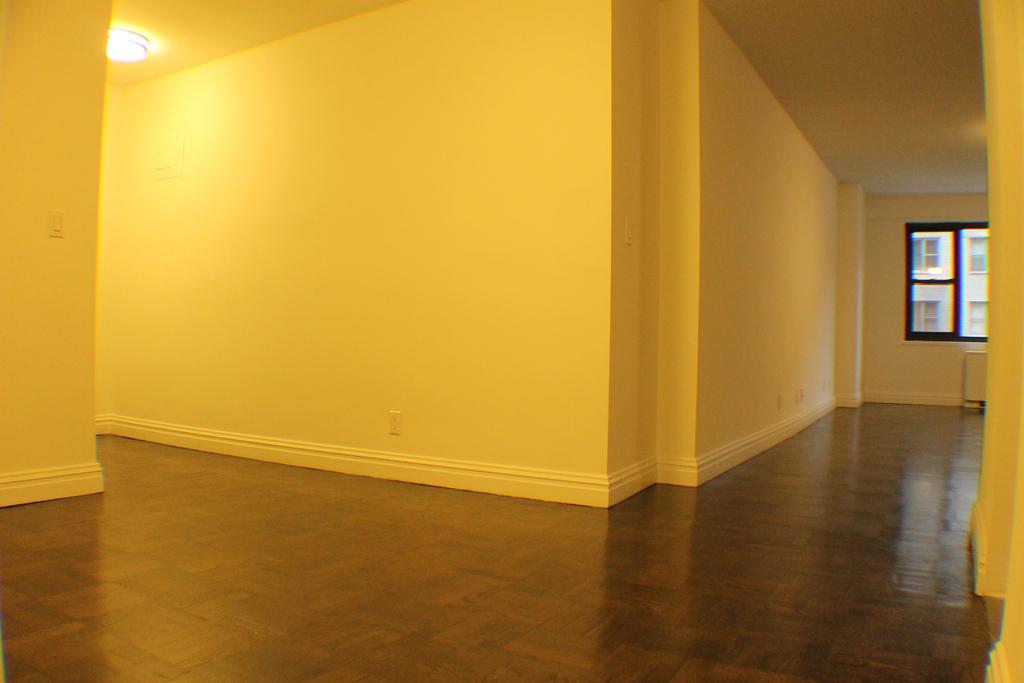 East 56th Street - Photo 6