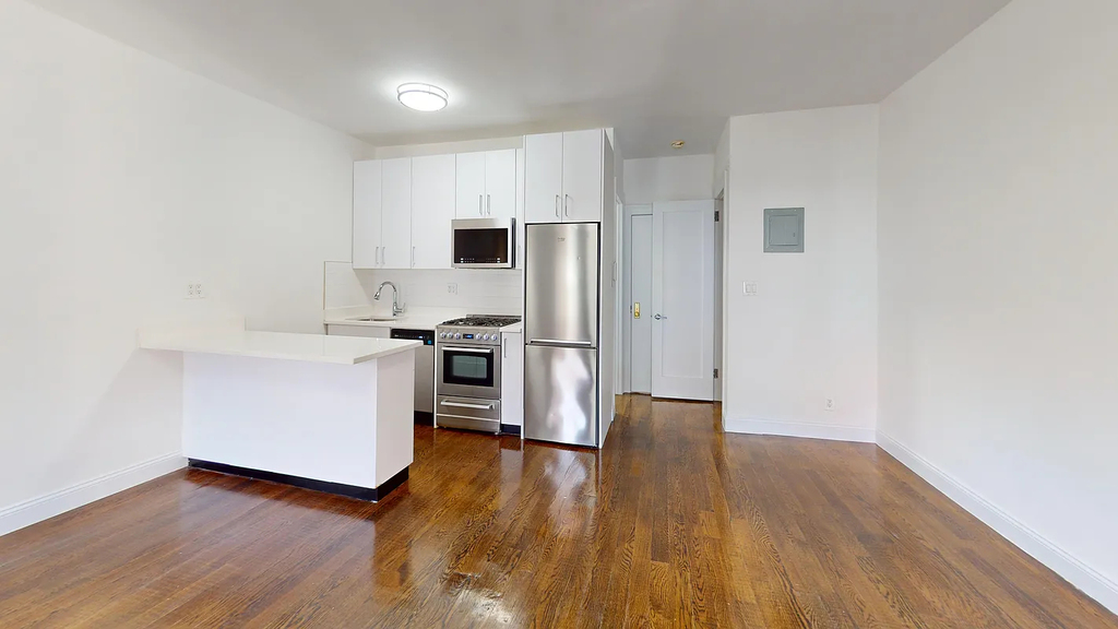 East 65th Street - Photo 2