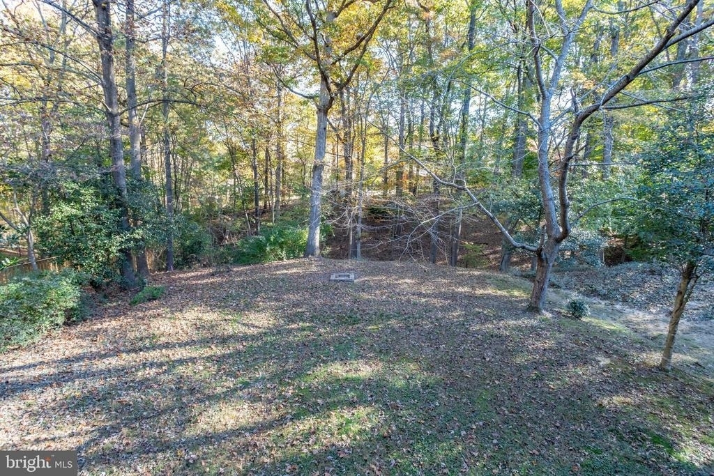 12303 Mulberry Court - Photo 73