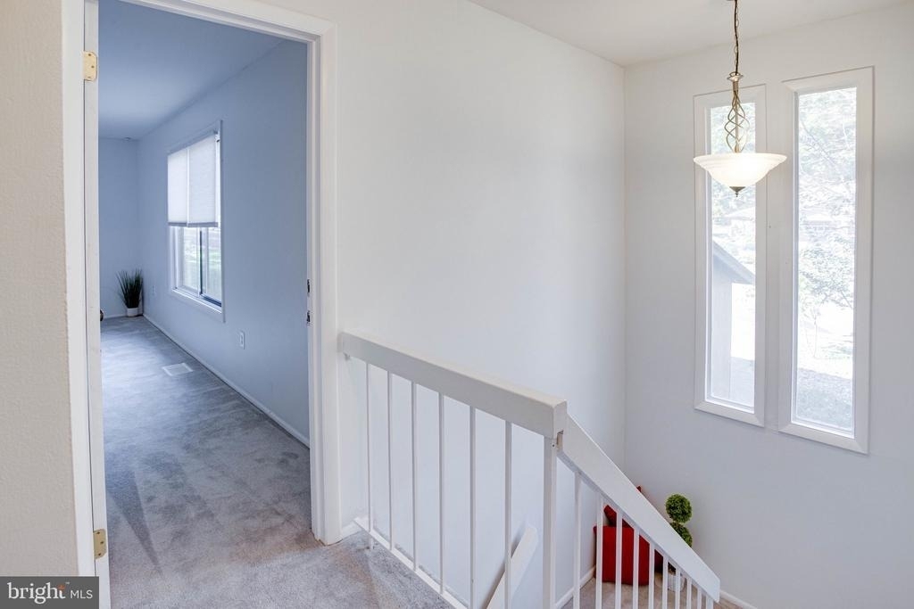 12303 Mulberry Court - Photo 33