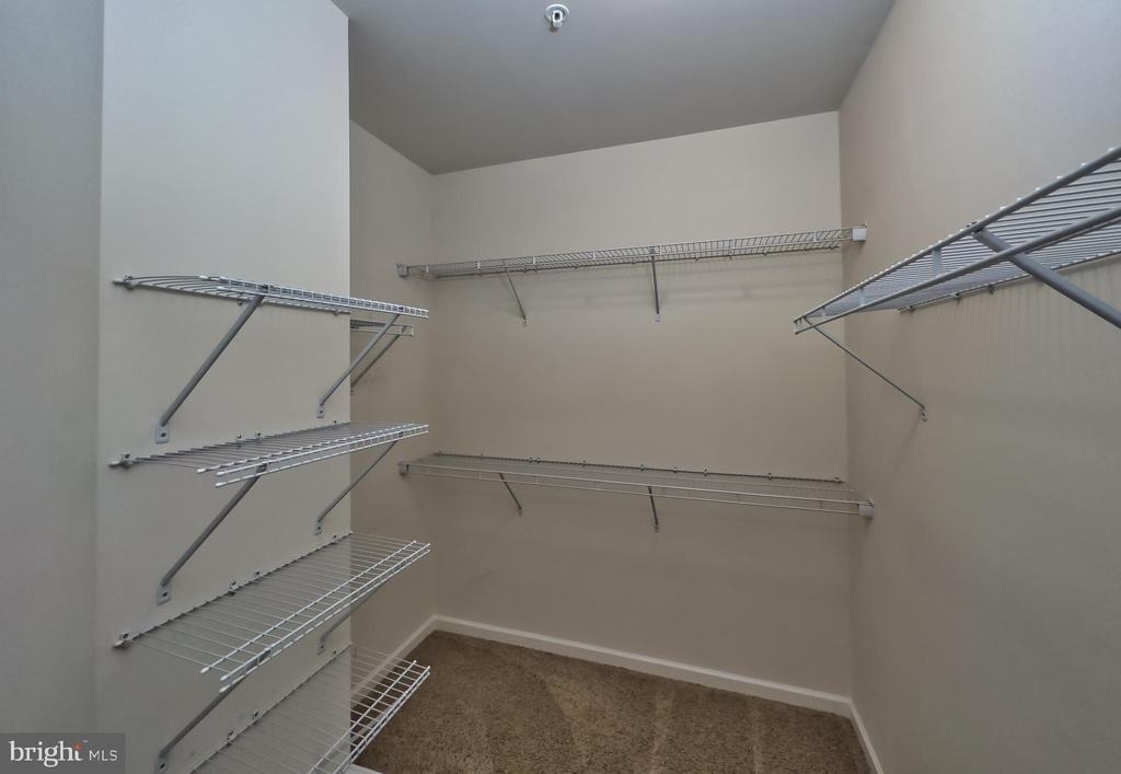 23542 Buckland Farm Terrace - Photo 12